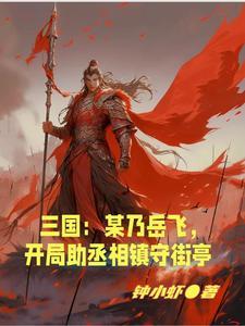 三国某乃岳飞开局助丞相镇守