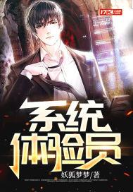 系统体验计划