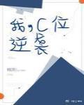 我c位逆袭书评