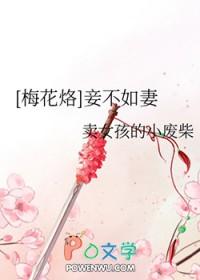 妾不如妻美