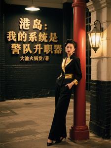 港岛警察有系统