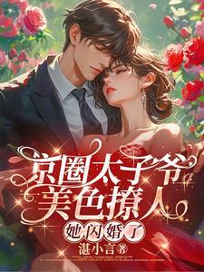 京圈太子妃什么意思