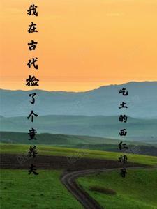 我在古代养夫郎by矮丫头