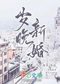 岁晚新婚by苏其免费阅读