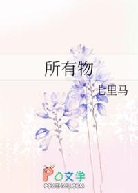 所有物的英文
