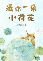 送你一朵小荷花歌曲