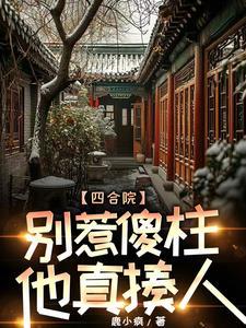 四合院傻柱的崛