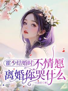 夫人又离家出走了