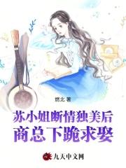 苏小姐我找