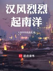 汉风烈烈起南洋TXT百度