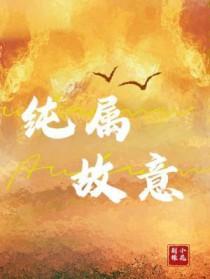 纯属故意 作者荆棘小花