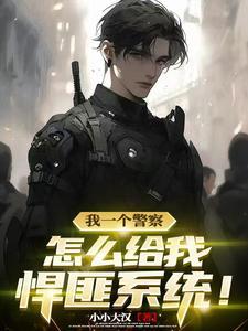 悍匪系统流