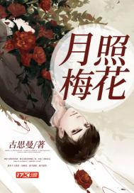 月照花林什么意思