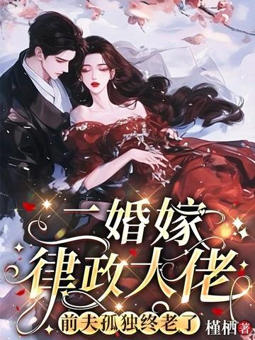 二婚全文