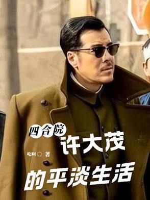 四合院之许大茂精彩人生