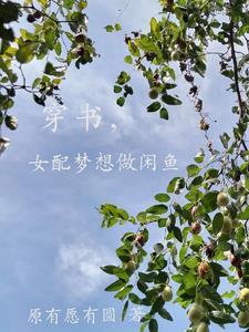 女配想当咸鱼