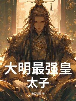 大明之最强皇子