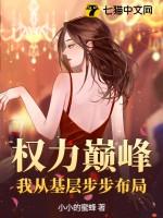 权力巅峰我从基层步步布局 第746章