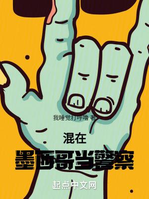 混在墨西哥当警察精校版