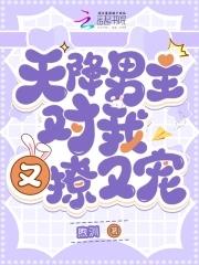 天降男神来抢婚免费