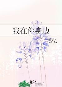 穿越之异世修仙记是1v1吗