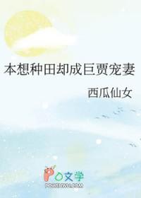 星河之上免费阅读