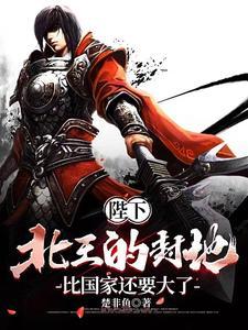 战龙凌神免费阅读