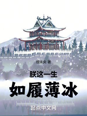 红楼重生贾环文武双全_