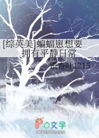 网游之九转轮回烟花易冷和叶洛恋爱多少集