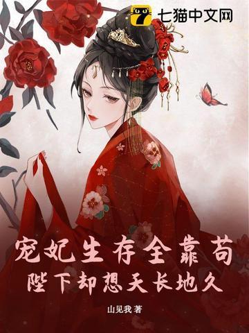 闪婚之后沈先生
