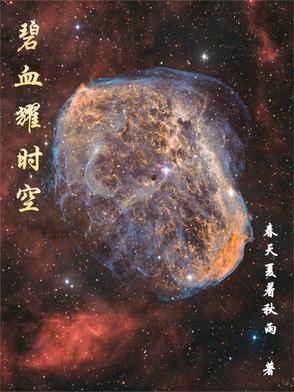 碧血长空1980