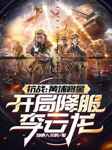主角黄埔出身的抗战完本